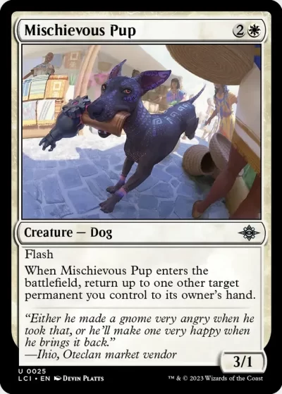 Mischievous Pup