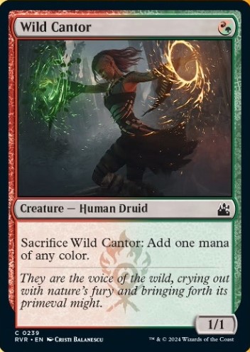 Wild Cantor